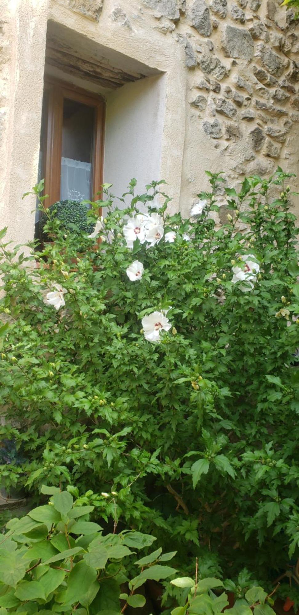 Appartement le balcon à Camps-sur-l'Agly Extérieur photo